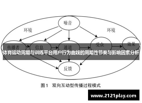 体育运动周期与训练平台用户行为曲线的周期性节奏与影响因素分析