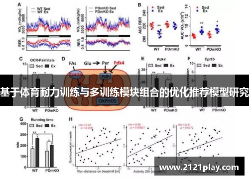 基于体育耐力训练与多训练模块组合的优化推荐模型研究